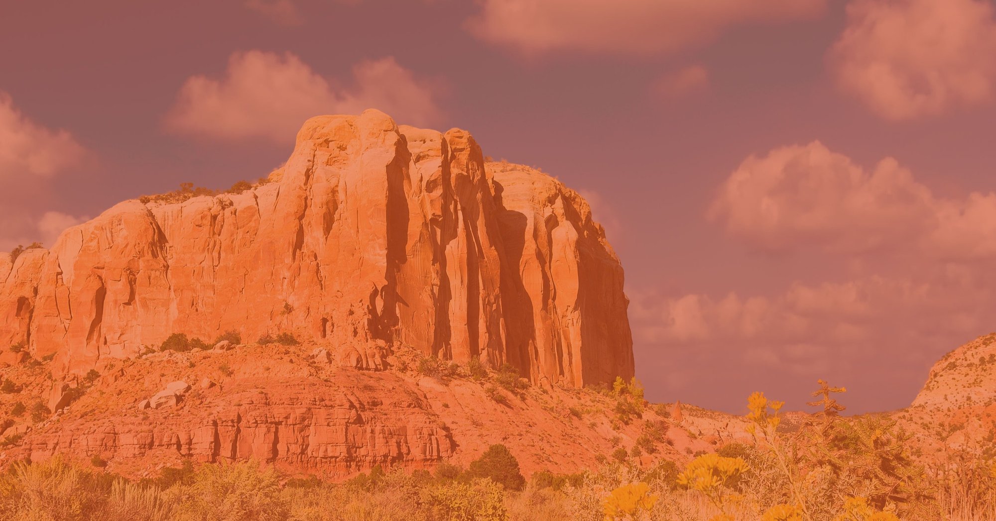 NewMexico Datasets Header-1