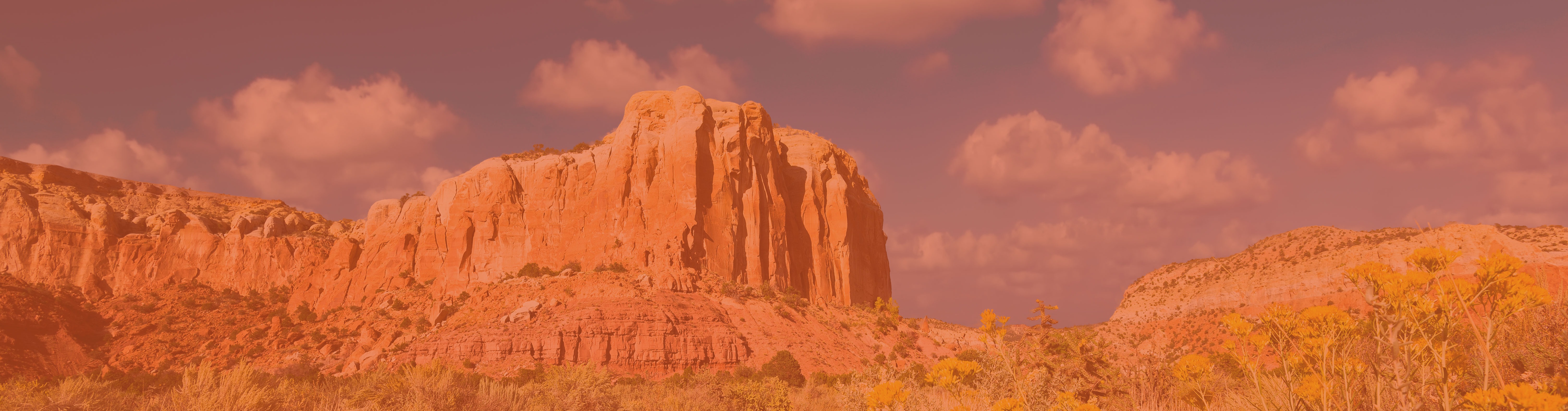 NewMexico Datasets Header